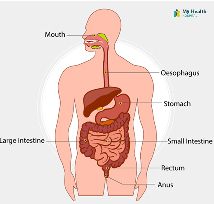colorectal cancer screening